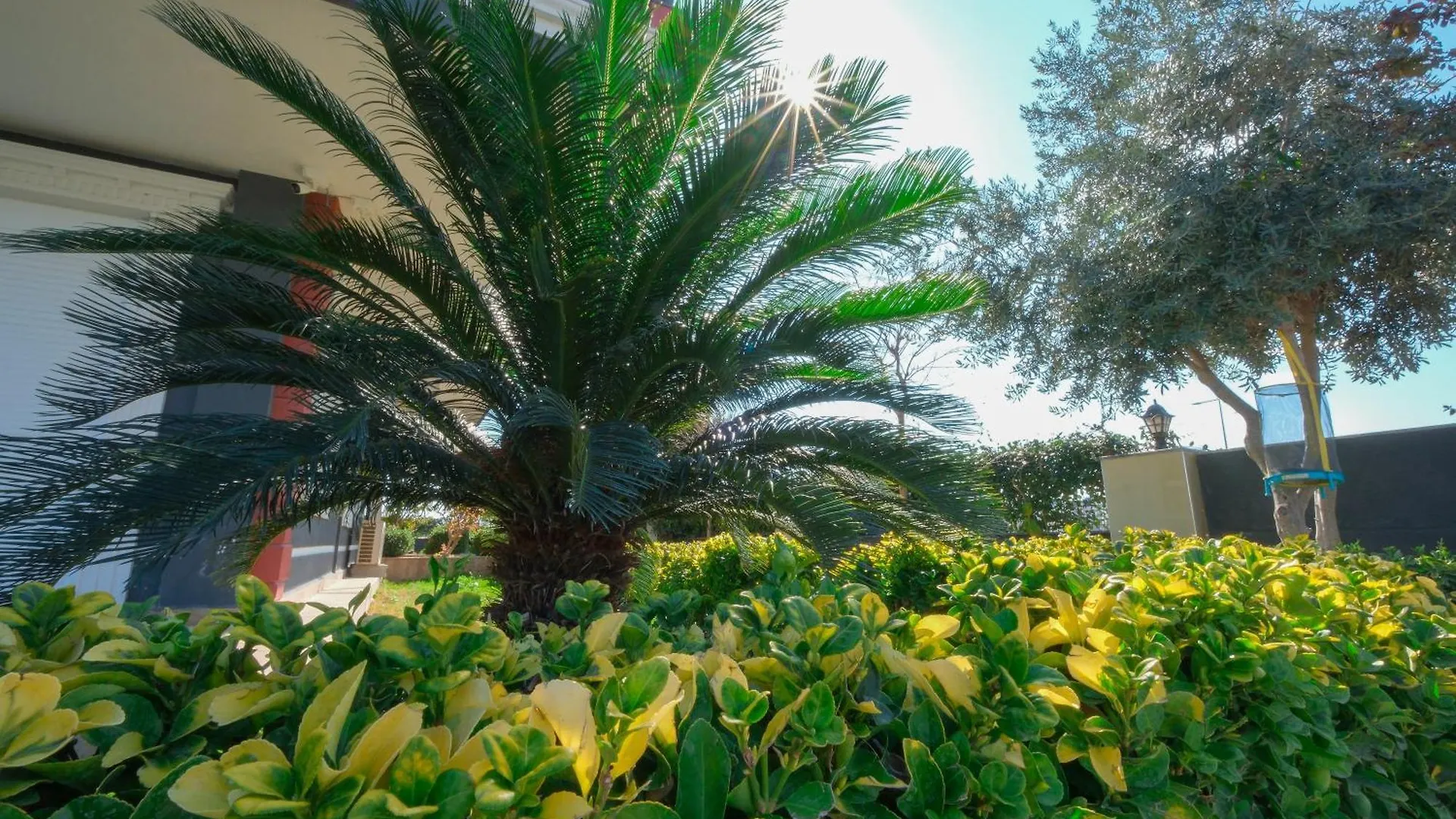 Avullar Palace Hotel Antalya Türkiye